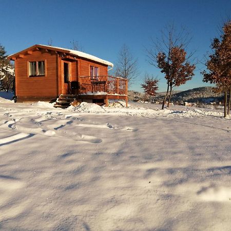 Le Chalet Des Etoiles Champagnac-le-Vieux Dış mekan fotoğraf