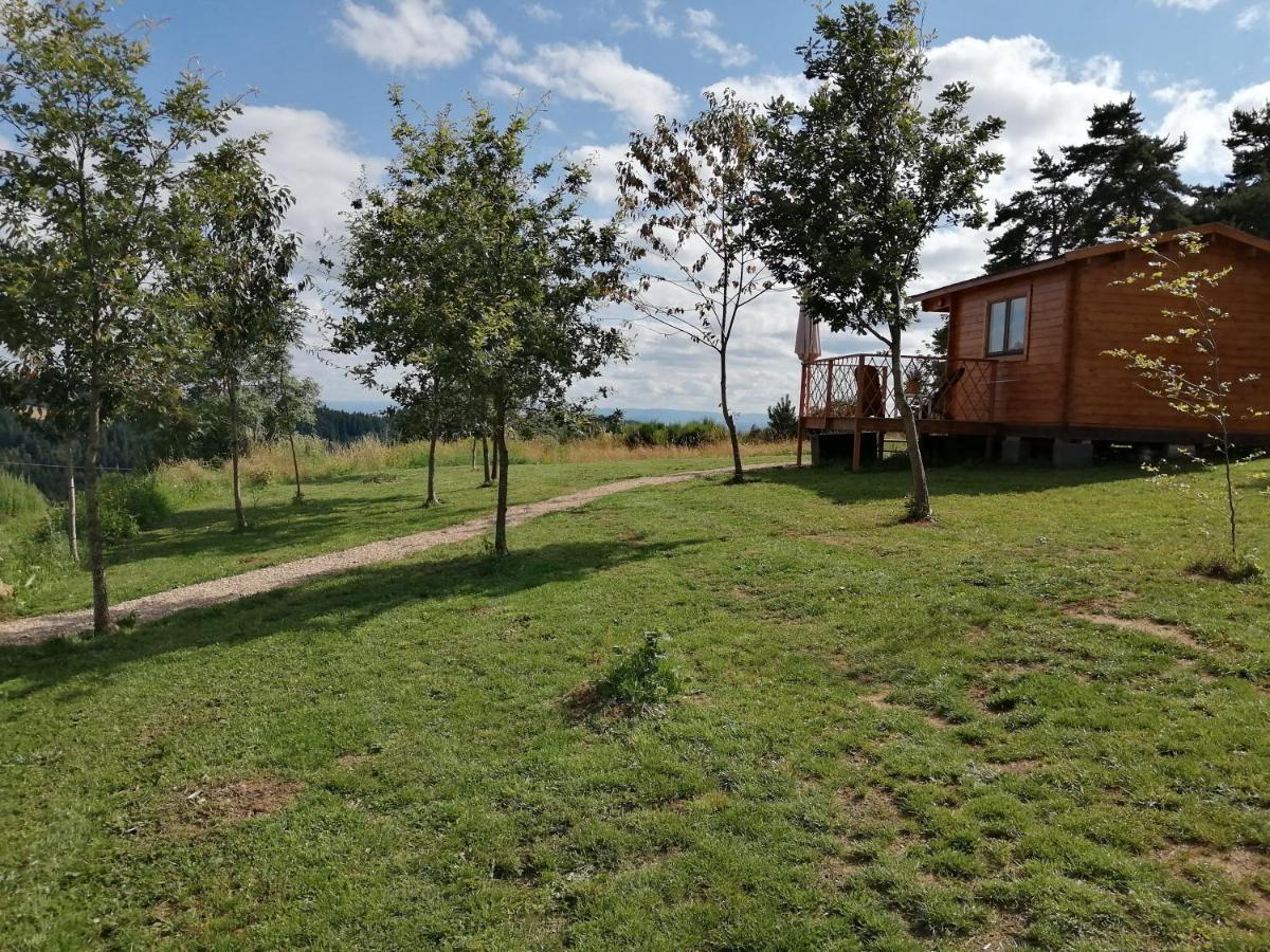 Le Chalet Des Etoiles Champagnac-le-Vieux Dış mekan fotoğraf