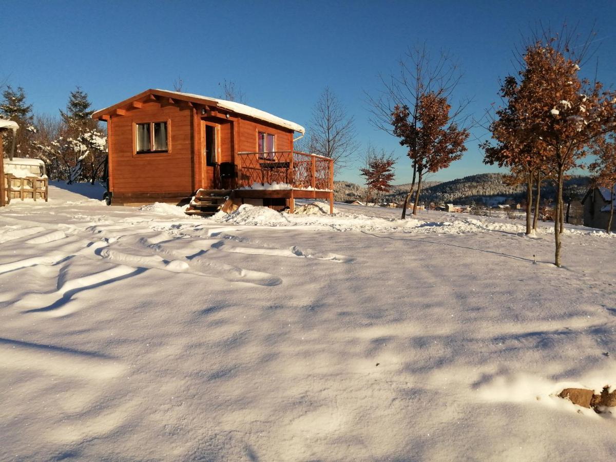 Le Chalet Des Etoiles Champagnac-le-Vieux Dış mekan fotoğraf